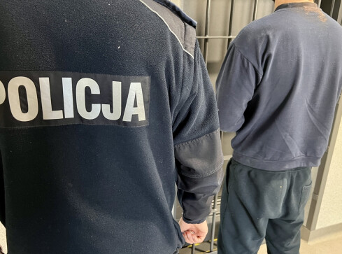 Straty na ponad 28 tys. i 30 zarzutów dla złodzieja z ogrodów dzia� - grafika