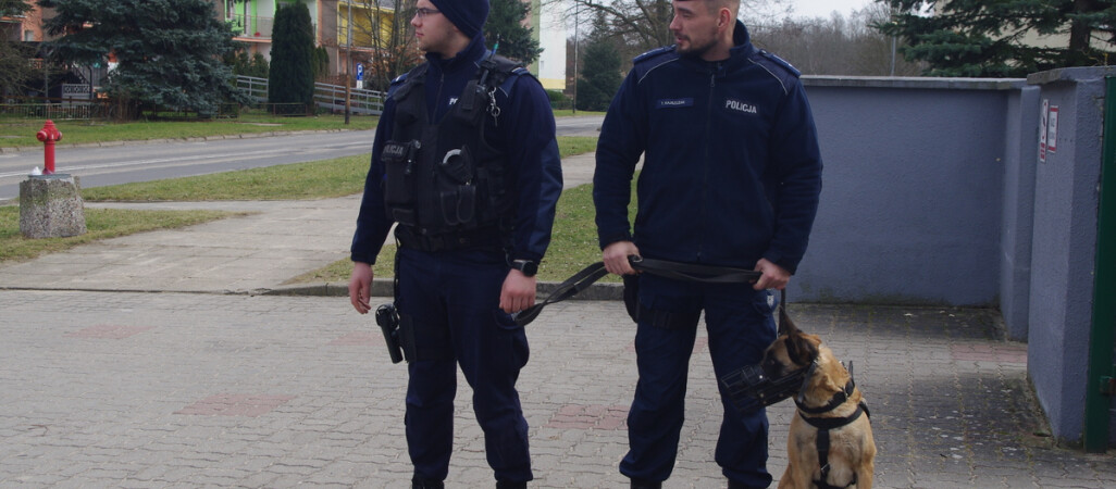 Oh,  Joko! Pies policyjny na służbie