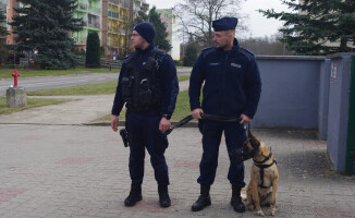Oh,  Joko! Pies policyjny na służbie