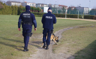 Oh,  Joko! Pies policyjny na służbie