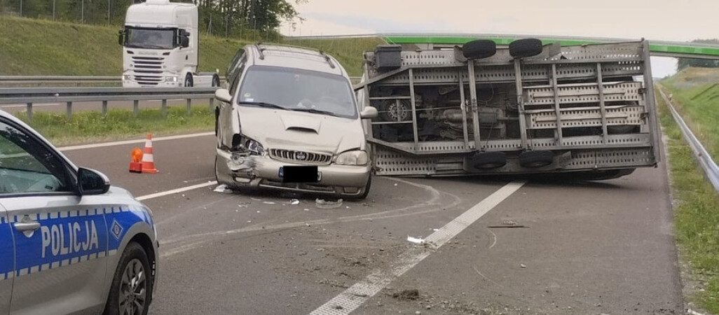 O lawecie, która wymknęła się spod kontroli