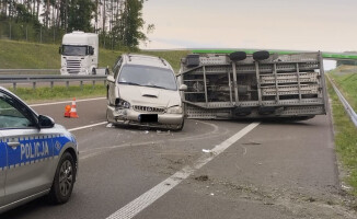 O lawecie, która wymknęła się spod kontroli