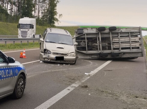 O lawecie, która wymknęła się spod kontroli - grafika