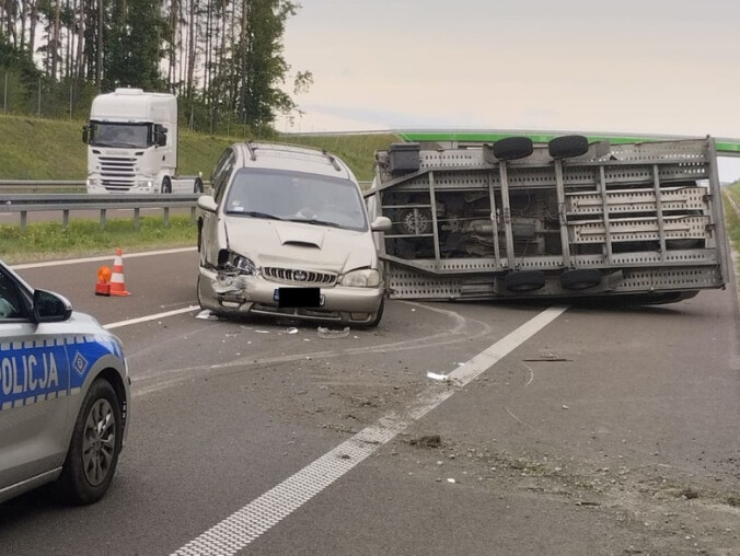 O lawecie, która wymknęła się spod kontroli - grafika