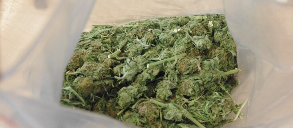 Dwa dni, pięciu zatrzymanych i kilogram narkotyków