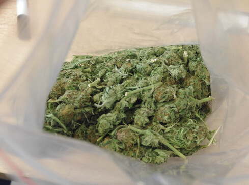 Dwa dni, pięciu zatrzymanych i kilogram narkotyków - grafika