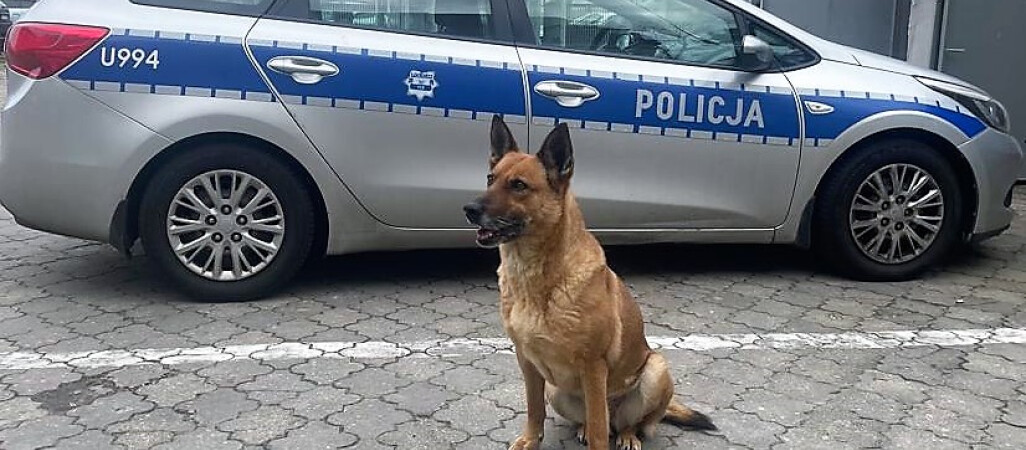 Suczka Irena przechodzi na emeryturę