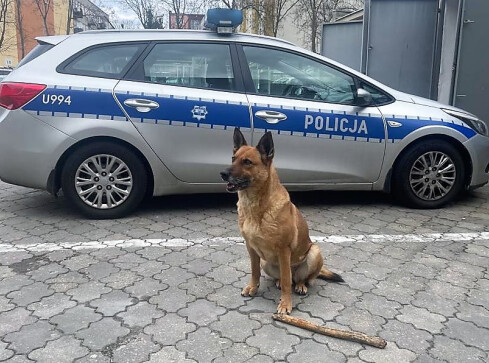 Suczka Irena przechodzi na emeryturę - grafika