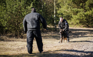 Czworonożny funkcjonariusz w szeregach pilskiej policji 