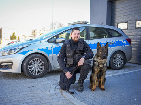 Czworonożny funkcjonariusz w szeregach pilskiej policji  - grafika