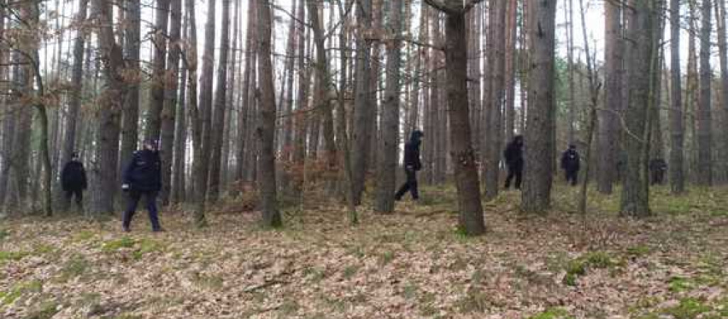 70-latka zagubiła się w lesie. Jej poszukiwania trwały kilka godzin