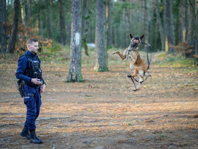 Pies to kumpel z roboty. No może trochę bardziej - mówią policjanc - grafika