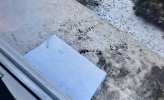 Wilk! Wilk!... Wołanie o pomoc, które miało być żartem