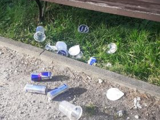 Zaśmiecony Park Miejski? List do redakcji - grafika