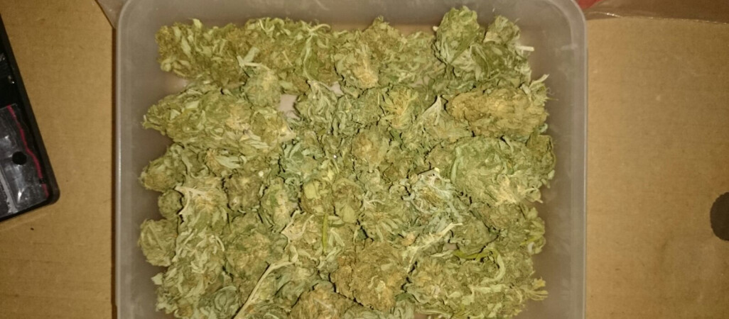 1,5 kg narkotyków. Zatrzymano 7 osób 