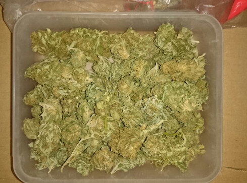 1,5 kg narkotyków. Zatrzymano 7 osób  - grafika