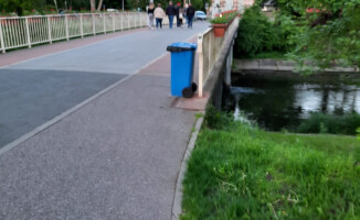 Nowonarodzone kocięta wyrzucone na śmietnik na pilskiej Wyspie