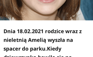 Uwaga na strony informujące o porwaniach dzieci. Tak działają cyberprzestępcy 