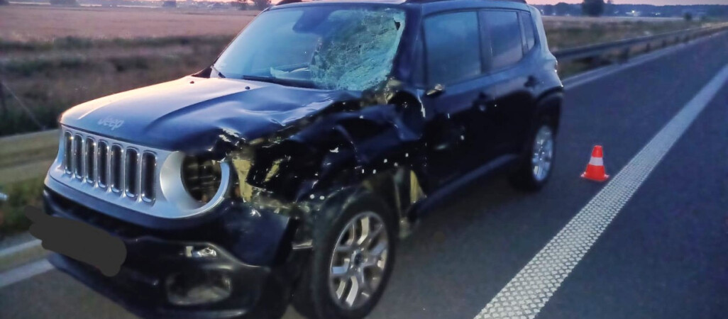 Mapa wypadków ku przestrodze