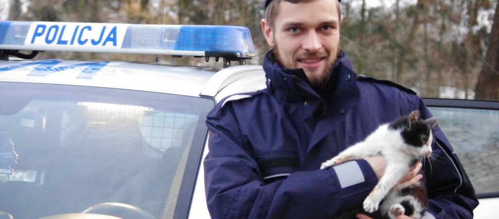 Policjanci uratowali kotka. Teraz szukają do niego domu 