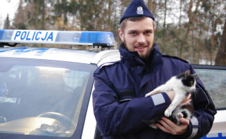 Policjanci uratowali kotka. Teraz szukają do niego domu 