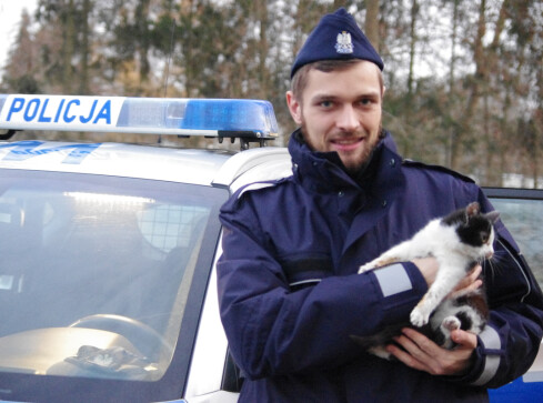 Policjanci uratowali kotka. Teraz szukają do niego domu  - grafika