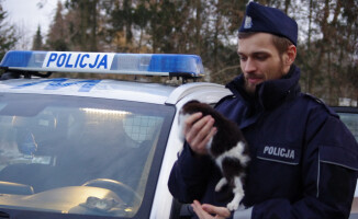 Policjanci uratowali kotka. Teraz szukają do niego domu 