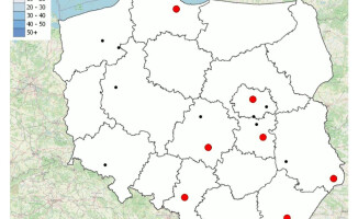 Mapa wypadków drogowych ze skutkiem śmiertelnym
