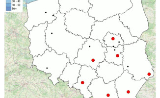 Mapa wypadków drogowych ze skutkiem śmiertelnym
