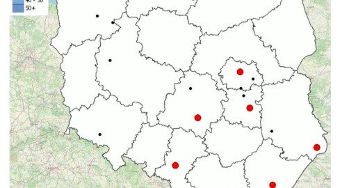 Mapa wypadków drogowych ze skutkiem śmiertelnym - grafika