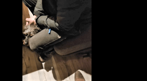 Pedofil spod Piły zatrzymany. Po raz drugi w ciągu roku  - grafika