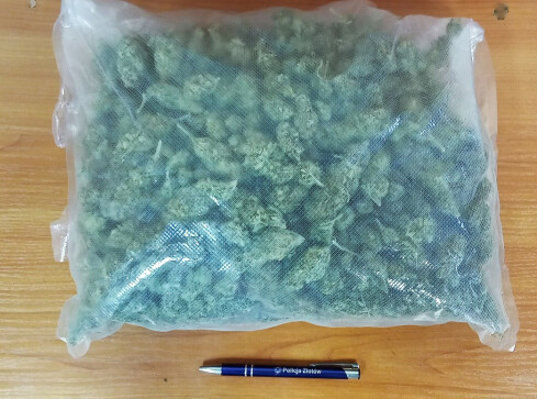 Ukrył u dziadków kilogram marihuany i 70 tabletek ecstasy  - grafika