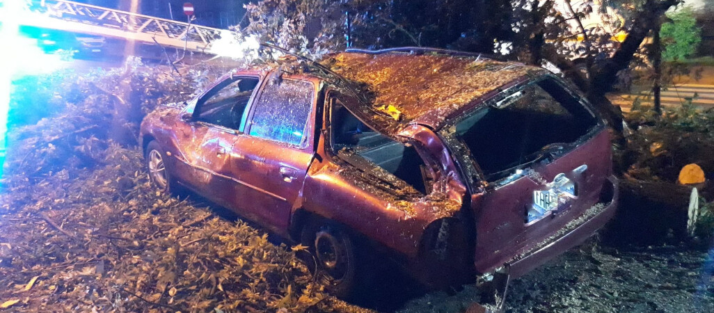 Nawałnica w regionie. Drzewo przewróciło się na zaparkowane samochody