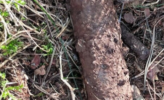 Grzybiarz znalazł niewybuchy z czasów II Wojny Światowej