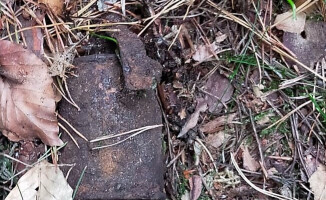 Grzybiarz znalazł niewybuchy z czasów II Wojny Światowej