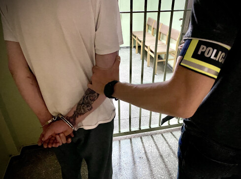 Złodziejska para specjalizowała się w kradzieży materiałów polig - grafika