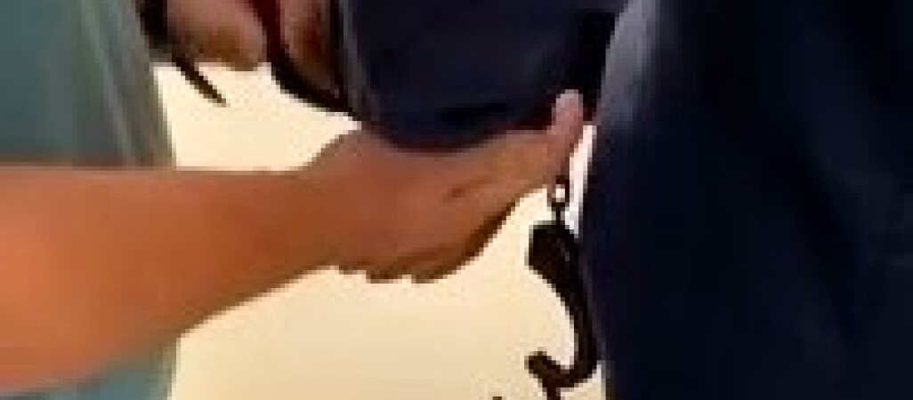 41-latek zatrzymany po raz drugi w tym roku za pedofilię