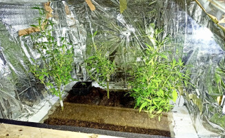 Ukradł palety, by zbudować z nich konstrukcję do uprawy konopi