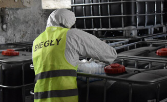 Martwe świnie i 105 ton niebezpiecznych odpadów w gospodarstwie pod Piłą 