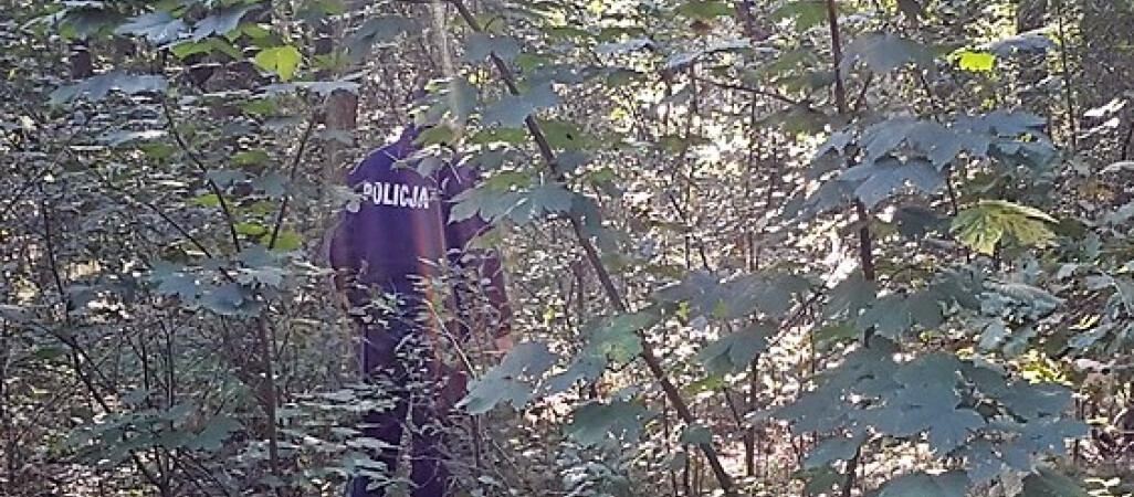 39-latka spędziła noc w lesie. Wyszła na grzyby 