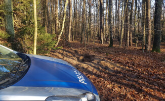 Ukradł sejf z pieniędzmi i zakopał go w lesie