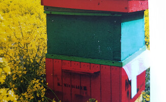 Złodziej ukradł 13 uli wraz z pszczołami. Policja go szuka