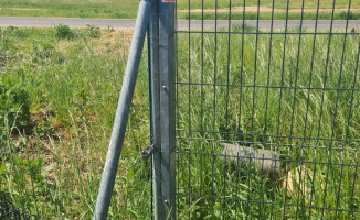 Seria włamań do firm w Pile