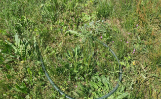 Seria włamań do firm w Pile