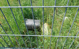 Seria włamań do firm w Pile