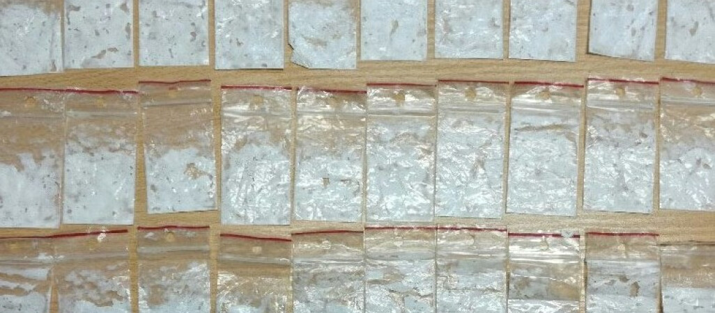 60 porcji amfetaminy u kierowcy BMW