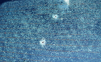 Strzelali z wiatrówki do samochodów i je okradali