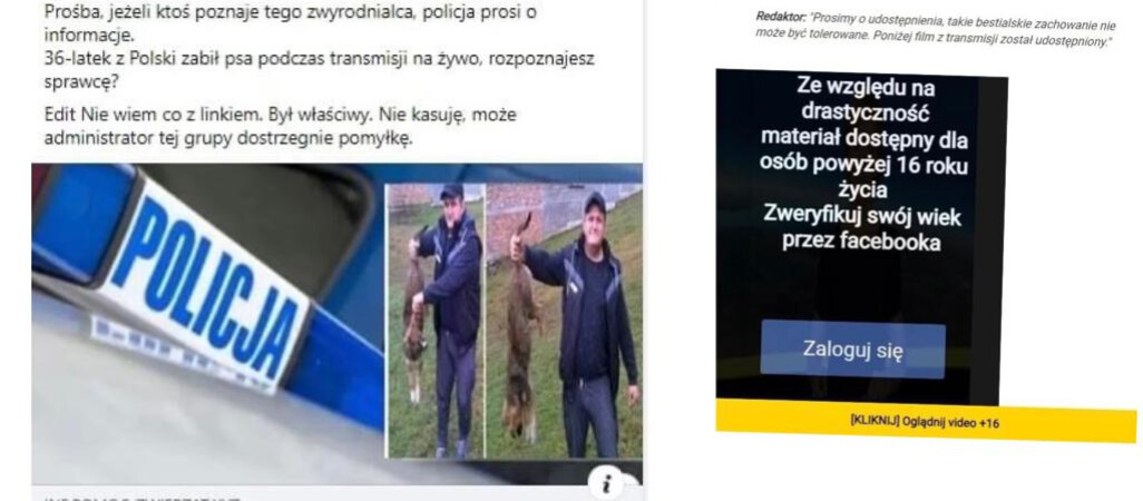 Mężczyzna zabił psa. Nie klikajcie! To oszustwo 