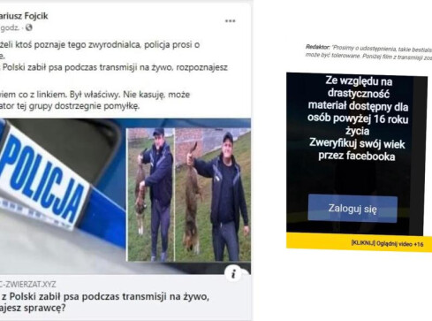 Mężczyzna zabił psa. Nie klikajcie! To oszustwo  - grafika