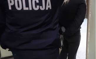 Wywieźli poza miasto, skopali i oszpecili młodą pilankę 